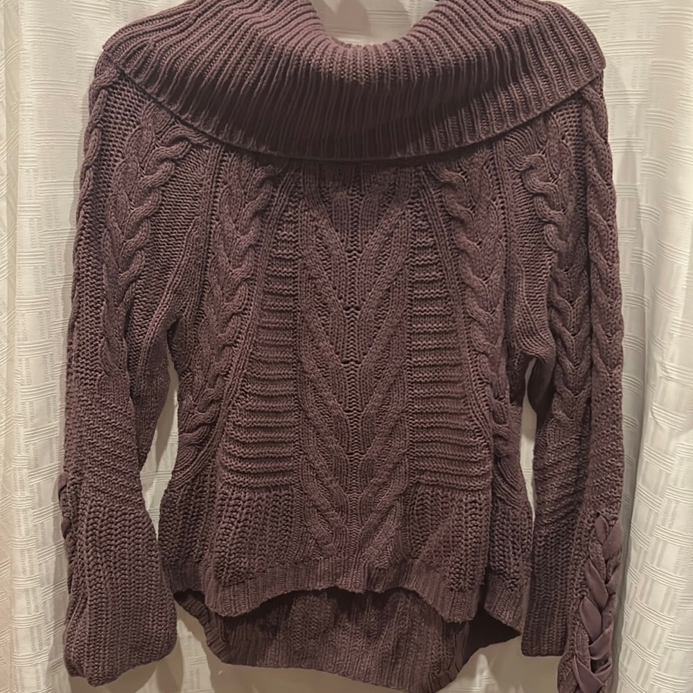 Purple Express Sweater
